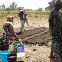 Bantandicori. ONG d'ajuda al Senegal