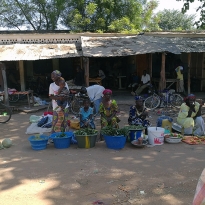 Bantandicori. ONG d'ajuda al Senegal