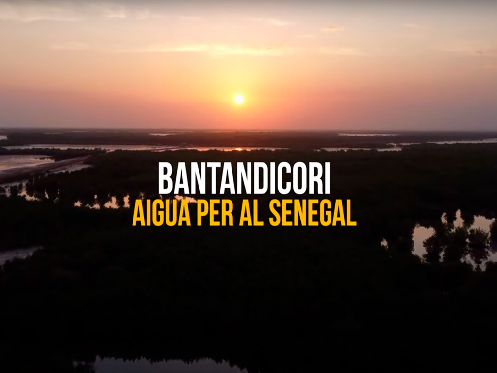 Video Bantandicori – Aigua per al Senegal